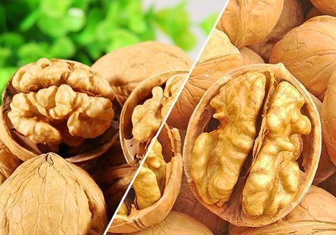 تصویر 3 از قیمت و خرید گردو پوست کاغذی تازه خوانسار + به صورت عمده